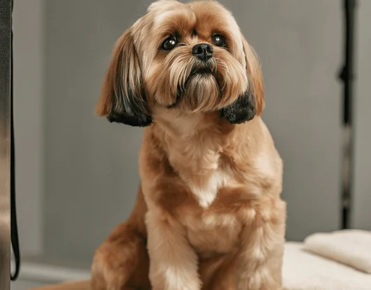 Укажите название услуги или специального предложения